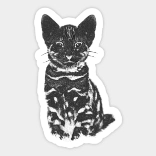 Let's draw a cat. Sticker